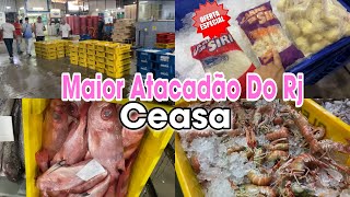 Ceasa Rio de Janeiro  setor de Peixes  Semana Santa Tour  valores  Maior Atacadão do Rj 😱 [upl. by Treve]