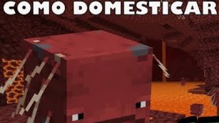 cómo domesticar un lavagante en Minecraft [upl. by Adaran]