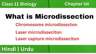 What is Microdissection  Chromosome microdissection  Laser microdissection [upl. by Amjan422]