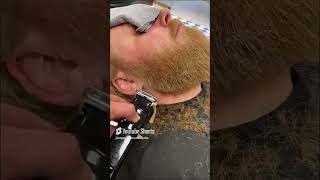 💈ASMR Beard trim💈beardtrim beard wahl hairstyle barbershop stockholm haircut skinfade [upl. by Berga]