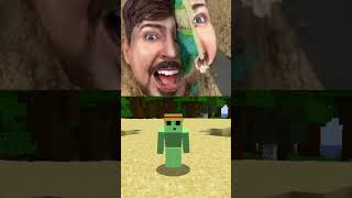 CO JE DORT A CO NE😳 extreme extrémní reakce YouTube minecraft [upl. by Danielson747]