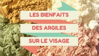 Les bienfaits des argiles sur le visage [upl. by Heurlin406]