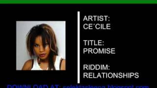 Relationships Riddim MIX REGGAE 2009 [upl. by Karb489]