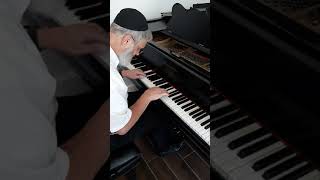 Gershon Wachtel plays Mizmor LDovid23rd Psalm [upl. by Inkster]