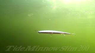 DUOs Lures in Motion 14 Tide Minnow Slim 200 [upl. by Ewall]