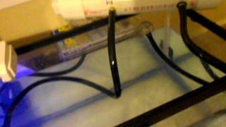 Homemade PVC Canister Filter [upl. by Ck950]