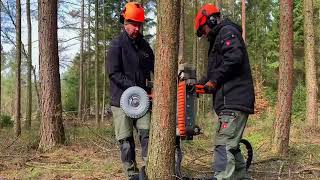 Tree Climbing Machine Fast amp Efficient Branch Trimmer 🌳✂️  🌐 1008 Wonders [upl. by Kurr]