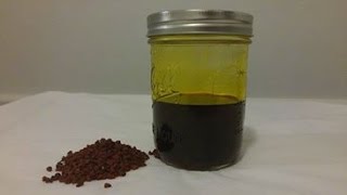 QUICK TIP Achiote oil condiment Episode22 [upl. by Mcleroy821]