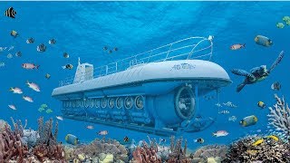 Atlantis Submarines Aruba  De Palm Tours [upl. by Billie]