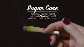 NEW Sugar Cone PreRoll  How to Consume [upl. by Notnyw]