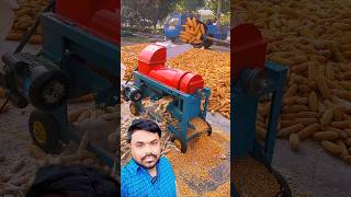 Amazing corn spreading machine shortvideo tranding [upl. by Drye936]