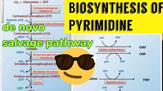 Pyrimidine Biosynthesis De novo amp Salvage pathway 😎😎 [upl. by Anya]