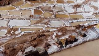 Salineras Salt Ponds at Maras in the Sacred Valley  Cusco Peru [upl. by Zulch]