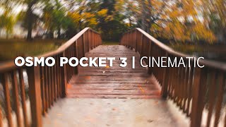 DJI OSMO POCKET 3 CINEMATIC  quotFALLquot [upl. by Brentt844]