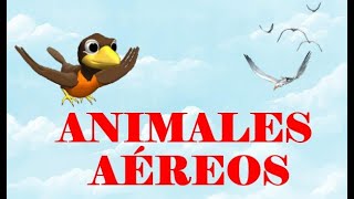 Vocabulario ANIMALES AEREOS AVES INSECTOS Y PLANEADORES [upl. by Annelg]