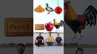 Eating ParleG biscuit Apple Rooster Goose lolipop wow cake chocolate icecream funny 😋VFX [upl. by Ahsikar]