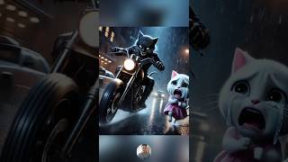 THE KITTEN STORY SAD familycats sad story kitten short shorts shortvideo [upl. by Neroled]