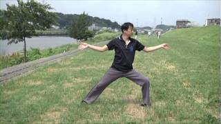 陳式太極拳 １３式 成澤正治 Chen Style Taiji Basic13 [upl. by Enivid]