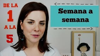 ✅ PRIMERA SEMANA  EMBRIOLOGÍA 📚 DESARROLLO EMBRIONARIO HUMANO  GESTACIÓN  EMBARAZO [upl. by Nrubliw]