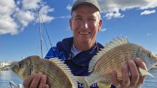 No Net  No Worries Gold Coast Bream Comp [upl. by Auahsoj387]