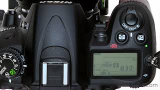 Nikon DSLR Tutorial  Using the autofocus modes [upl. by Linneman]