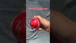 Right Arm Leg Spin Bowling Grip Tutorial 👆🫨 shorts cricketshorts [upl. by Minna]