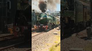 Steam Engine 3801 leads the steam to Surf train into Sutherland station livetrains [upl. by Nnyltak850]