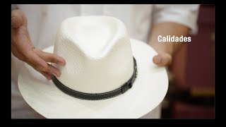 El Sombrero Panamá casi todo sobre este sombrero hecho en Ecuador [upl. by Arzed]