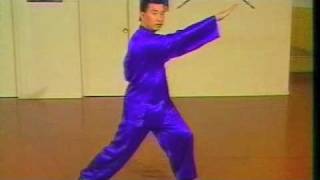 Choy Li Fut  Fighting Applications 15 [upl. by Suanne240]