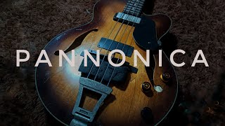 Pannonica by T Monk arr Jan Toninelli [upl. by Erolyat109]