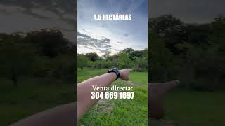 🔥SE VENDE🍃ESTÁ BONITA FINCA🍃Número del dueño 57 304 669 1697🔥 [upl. by Galatia362]