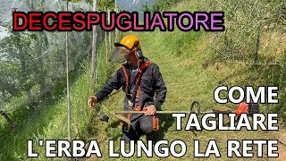 DECESPUGLIATORE COME TAGLIARE LERBA LUNGO LA RECINZIONE [upl. by Schroth491]