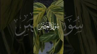 Surah Al asar recitationQuran best tilawat [upl. by Embry]