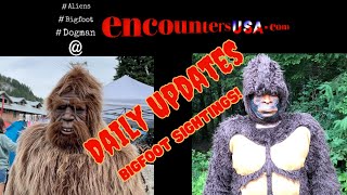 Encounters USA Daily Updates 2 Bigfoot Encounters [upl. by Thirzi]