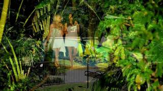 Noosa Village River Resort  Sunshine Coast Queensland [upl. by Adnolahs]