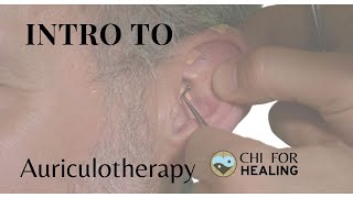 Intro to Auriculotherapy Ear Reflexology with Chinese Medicine [upl. by Ace310]