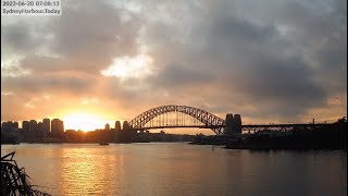 Even overcast mornings are spectacular  This is Sydney Harbour Australia LIVE Cam 22112023 [upl. by Ennaeus]