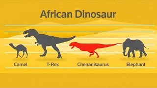 Last African dinosaur discovered in Moroccan mine [upl. by Dahc384]