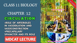 ROLE OF ARTERIOLE AND PRE CAPILLARY SPHINCTER IN VASOCONSTRICTION AND VASODILATION  11 BOLOGY [upl. by Welker]