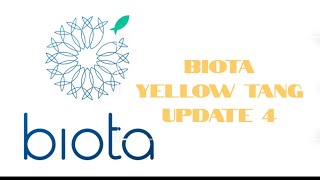 Biota Yellow Tang Update  Day 4  Acclimation amp Feeding [upl. by Annahsor]