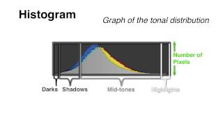 Your Cameras Histogram Explained [upl. by Chemash794]