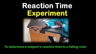 Reaction Time Experiment Responding to a falling ruler [upl. by Krigsman903]