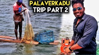 Palaverkadu River fully Prawns and crabs [upl. by Raamaj]