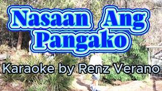 Nasaan Ang Pangako Karaoke by Renz Verano [upl. by Anier185]