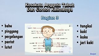 Belajar Bahasa Korea Kosakata Anggota Tubuh dan Contoh Kalimatnya Bagian 3 bahasakorea [upl. by Arawaj]