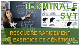 Résoudre rapidement un exercice de génétique  SVT Terminale S  Les Bons Profs [upl. by Daloris]