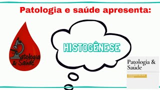 Histologia do tecido ósseo  Ossificação [upl. by Ayatnwahs]