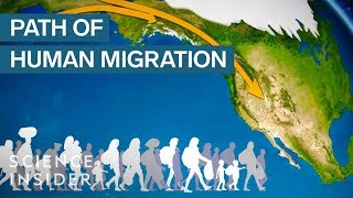 Map Shows How Humans Migrated Across The Globe [upl. by Rbma595]