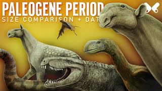 PALEOGENE PERIOD Animals Size Comparison and Data [upl. by Darrel]