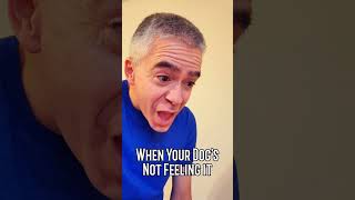 When Your Dogs Annoyed ytshorts doglover humor funnydog funnyreaction [upl. by Parik]